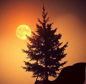 screenshot_20250702_160905_chrome