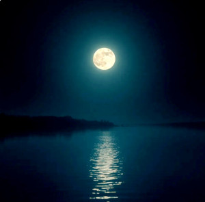 screenshot_20250714_084623_chrome