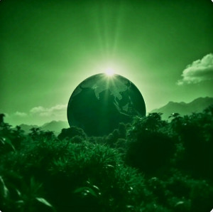 screenshot_20250714_100310_chrome