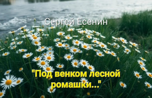 screenshot_20250717_103145_chrome