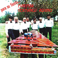 marimba-hermanos-aquino---vuela-robin-vuela