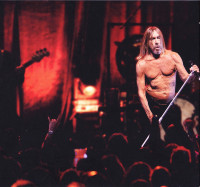 r-32944455-1737780945-7211