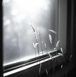 screenshot_20250804_171057_chrome