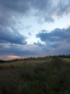 fm_bjkor1n91m03moabtdp21y8gag6a1eeb8eepwiir7gg472kvjrwkux_rkgq2_nysypedrow0umwzrr5mmo5n7