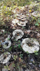 photo_2025-08-29_07-12-33