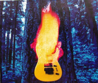 r-1293179-1265980746