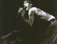 original-punks---tray-02