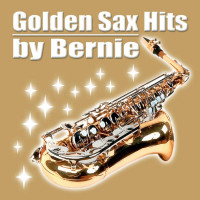 bernie-saxophone-entertainer---moonlight-melodie
