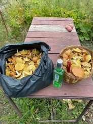 photo_2025-09-08_09-01-13