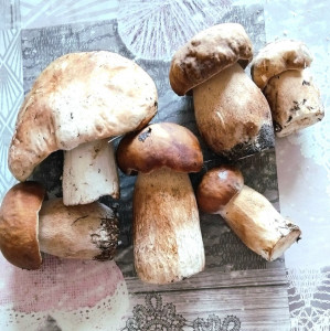 photo_2025-09-10_07-47-34