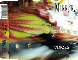 voices-2000-01