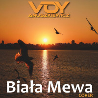 voy-anuszkiewicz---biała-mewa