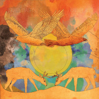 israel-nash---rain-plans