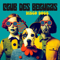 club-des-belugas---disco-dogs