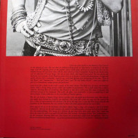 r-1511689-1314046671