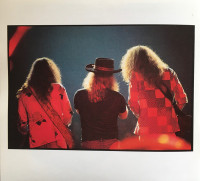 r-1260390-1596032082-6843