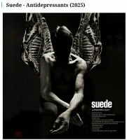 screenshot_2025-09-27-00-44-04