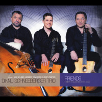 diknu-schneeberger-trio---les-flots-du-danube