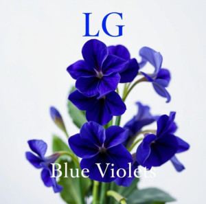 screenshot_20251029_080111_yandex-music