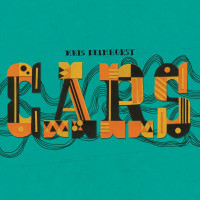 kris-delmhorst---why-cant-i-have-you