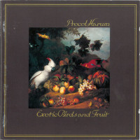 r-6497946-1706087471-2854