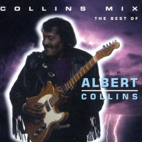 albert-collins---if-trouble-was-money