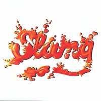 slang---johnny-guitar