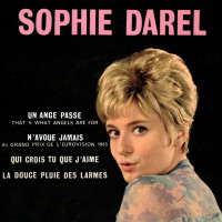 sophie-darel---la-douce-pluie-des-larmes