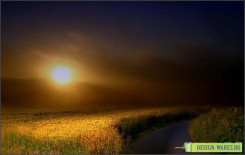 1247911120_radionetplus_ru_krasivo23