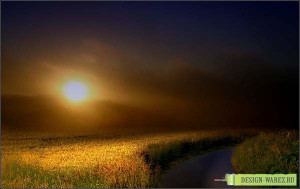 1247911120_radionetplus_ru_krasivo23