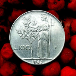 photo_2025-11-06_09-58-19