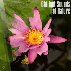 chillout-sounds-of-nature-(2018)-(front)