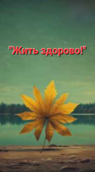 screenshot_20251113_165912_chrome