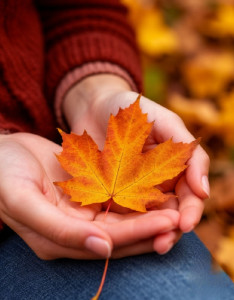 screenshot_20251113_174311_shedevrum