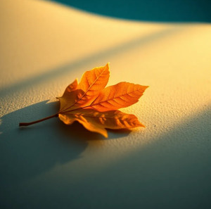 screenshot_20251116_054734_chrome