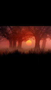 screenshot_20251126-092001_file-manager--