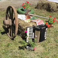 sergey-maljakai---rastsvetayut-lilii