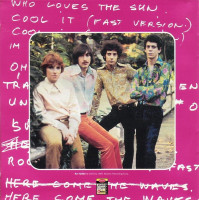 r-1298065-1269492904