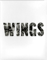 wings-2025-01
