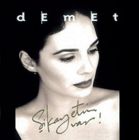 demet-sağıroğlu---bir-köşede-yalnız