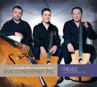 diknu-schneeberger-trio---les-flots-du-danube