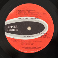 r-1524850-1469715616-6406