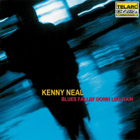 kenny-neal---blues-fallin-down-like-rain
