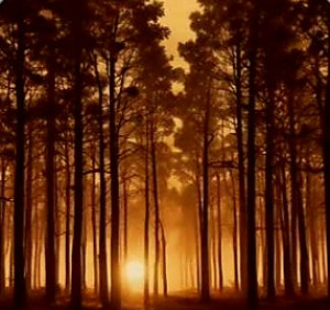 screenshot_20251130_132804_my-files