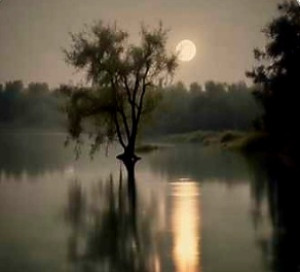 screenshot_20251204_203340_my-files