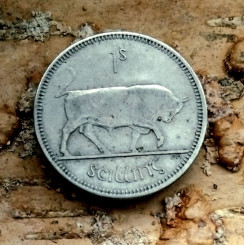 photo_2025-12-14_17-15-27