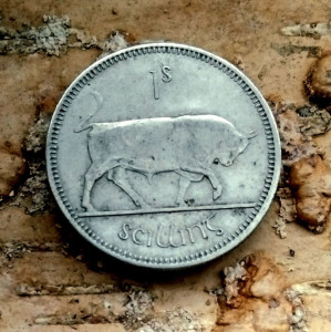 photo_2025-12-14_17-15-27