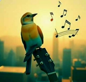 img_20251221_173150_134