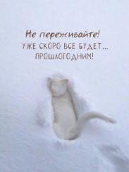 azlojqao3ma7v1obfc8a3ultixoucldhsr0qu2wauz4ngv2j0eivvyw5umxltgzfetdmfxe8tblxeh5j7qam39xe