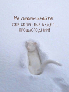 azlojqao3ma7v1obfc8a3ultixoucldhsr0qu2wauz4ngv2j0eivvyw5umxltgzfetdmfxe8tblxeh5j7qam39xe